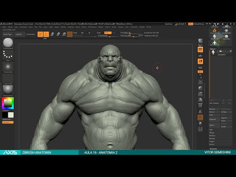 15   ZBA anatomia 01