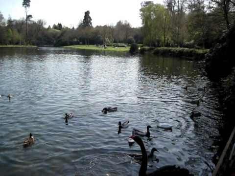 Claremont Landscape Garden National Trust