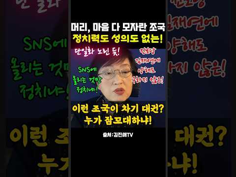 조국의 성의 없는 평택 출마 비판한 김진애