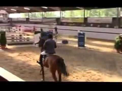 Crumble Youngster 1,40cm 1st place 8 Years Old Cassini, x Quidam