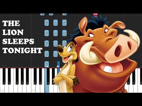 The Lion Sleeps Tonight Piano Performance Video