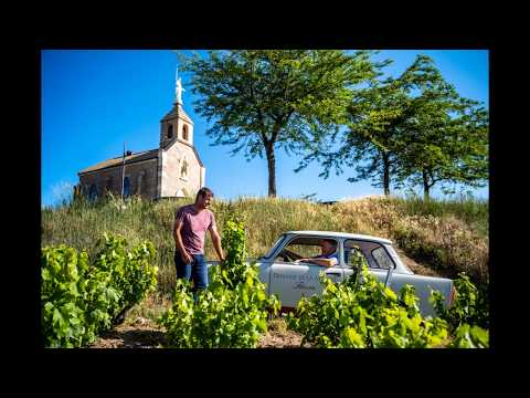 Domaine de la Madone FLEURIE, Présentation