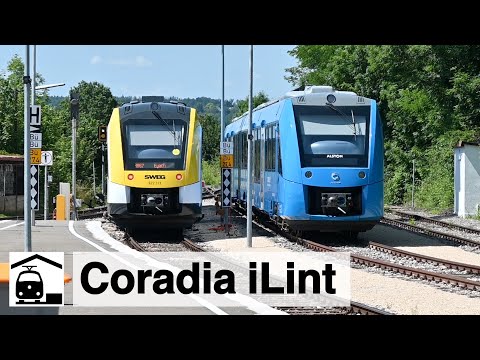 Jagd auf den Wasserstoffzug: Eyachtäler Radexpress [Coradia iLint]
