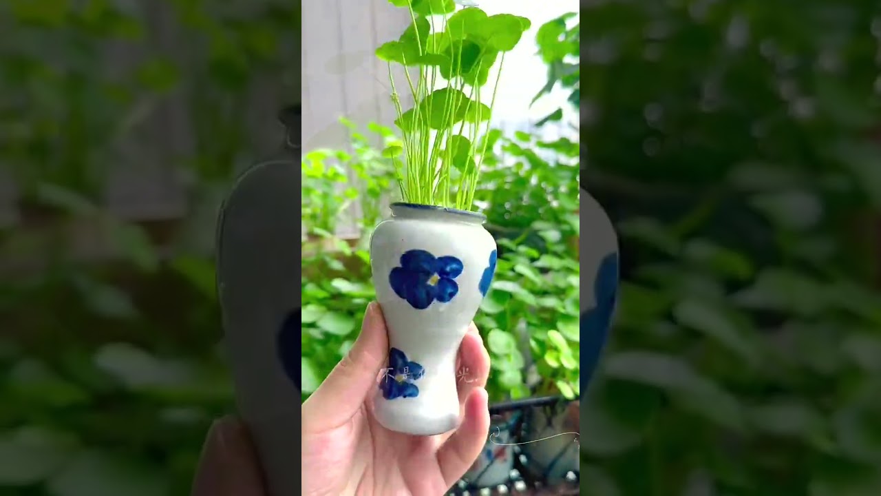 2798 🥜🌾🌲🌴🧄 #healthy #farm #RusticRural #CountrysideEscape #recipes