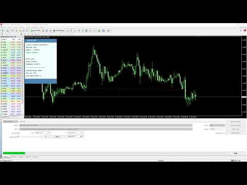 Video Agi FX1