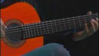 Pedro Javier Gonzalez | Sultans of swing | Soave Guitar Festival (2005)
