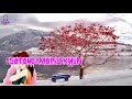 Romantic States Song Whatsapp Love States Video