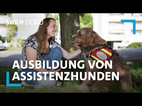 Zurück ins Leben - mein Hund als Helfer | SWR Doku