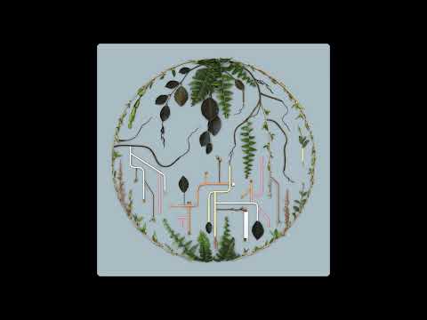 El Búho & The Garifuna Collective - Ideruni ( El Búho Remix ) ( 2022 )