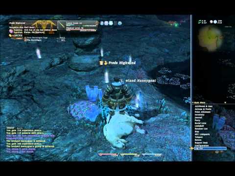 FFXIV Level 30 Leve Necrologos: The Boughs Above ★★★-30 Lancer 36 Physical Level