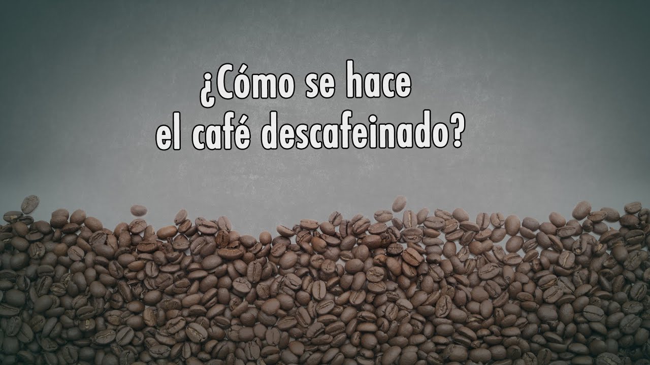 Watch ¿Cómo se hace el café descafeinado Now ¿Cómo se hace el café descafeinado