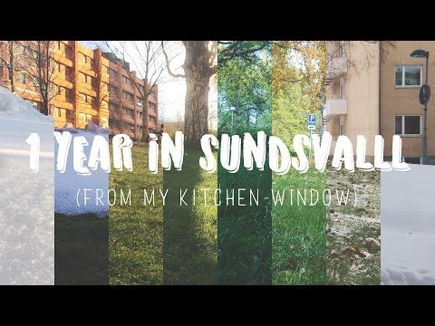 1 Year in Sundsvall (From My Kitchen Window)