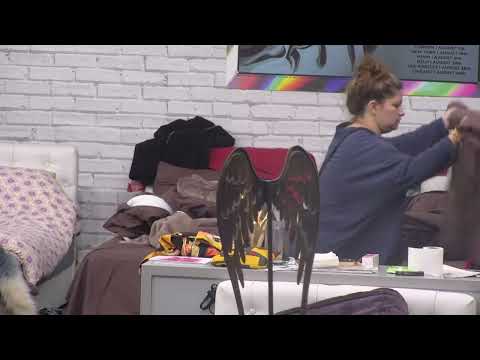 BUDJENJE - 15.11.2022. - INSTA TV