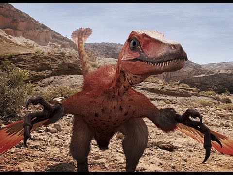 Velociraptor Tribute - Phoenix