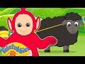 Teletubbies Baa Baa Black Sheep Many More Nursery Rhymes For Children Kids Songs Teletubbies