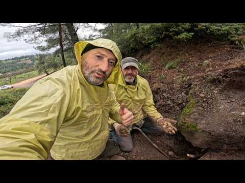 Guldmynt från romartiden hittades i en rik skattkista!!!