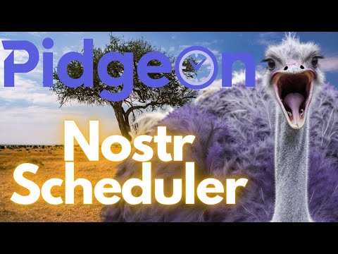 Introducing Pidgeon, a privacy‑first Nostr scheduler video thumbnail