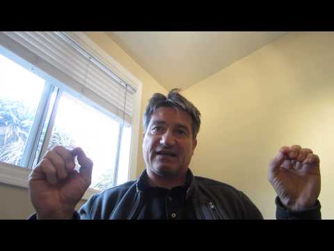 This Generation Will Not Pass Away