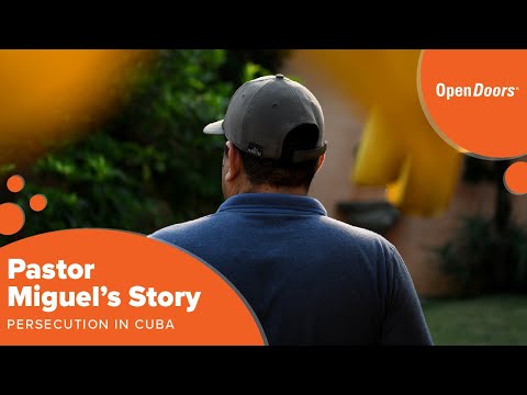 Witness21 Editor  2025 02 08