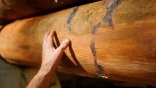 About sustainable timber harvesting