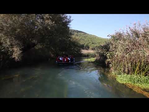 Vozila se Neretvon galija