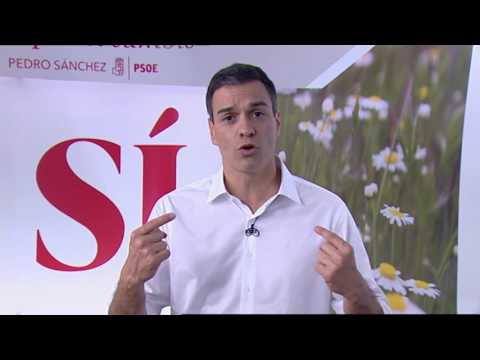 Pedro Sánchez habla en un vídeo para un acto en Vícar