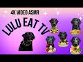 Black Dog Eating Amazing Food Shorts Dog Asmr Pets Eatingsounds Mukbanging Doglover Dogasmr