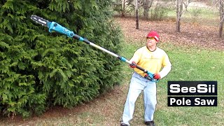 Download the video "NEW! SeeSii Pole Saw - Lithium Battery Powered Chainsaw Tree Trimmer"