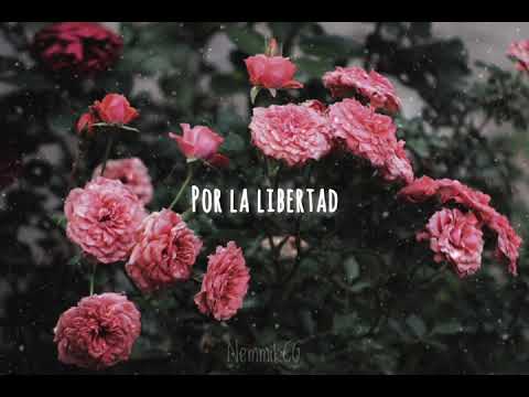 Five nights at freddy's song - For freedom - aldenmark niklasson (Subtitulado al español) #fnaf