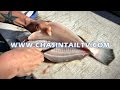 Fillet A Flounder In Under 15 Seconds Chasin Tail TV