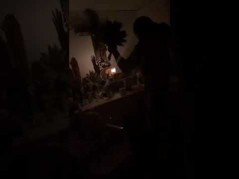 Pinta de Armonica,Taita jhon M ,ceremonia de ayahuaska,