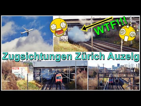 Es dampft beim Bahntrasse / Zugsichtungen bei Zürich Auzelg, Stadt Zürich, Schweiz 2021