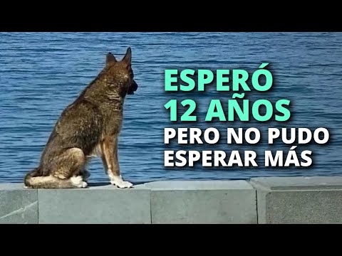 His time was up, Muktar could wait no longer