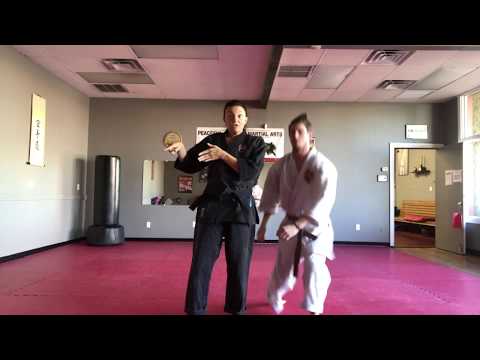 Pinan Yondan and variation Bunkai