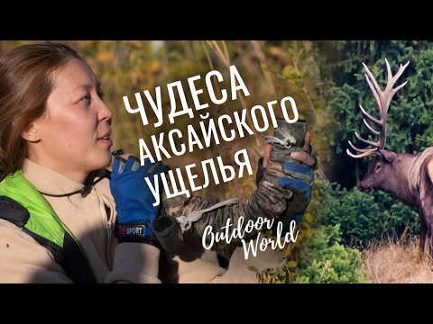 Экотуризм в Иле-Алатауском национальном парке. «Наедине с природой»