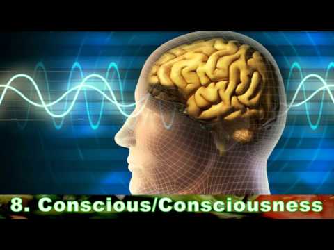 New Age Word Salad (P1) - 10 Examples Of New Age Word Salad