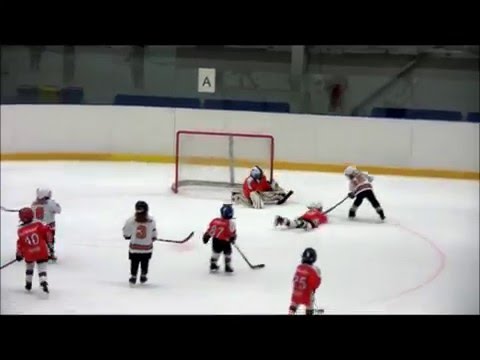 Turnaj ČSLH / 2008 a ml. HC RT TORAX PORUBA vs. HC BOHUMÍN