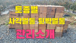 (토종벌) 사각벌통  뒷박벌통 구입후 사용법과 관리소개
