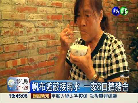 一家6口擠豬舍 善心人捐彈簧床