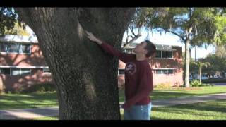 Broken Social Scene - Me And My Hand Music Video Project