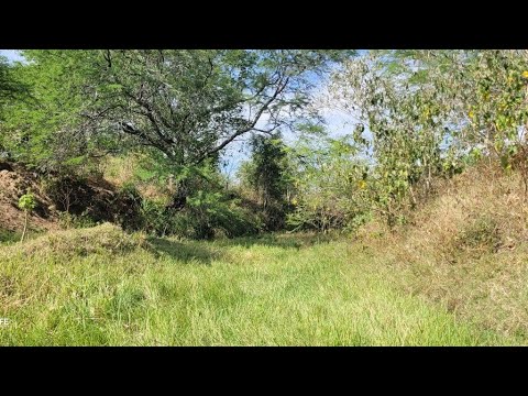 20 HECTARES DE TERRA,9 KM DE TUPANATINGA PE AVENDA! COM ÁGUA DE MINAÇAO 05/12/2025 (87 981192343 )