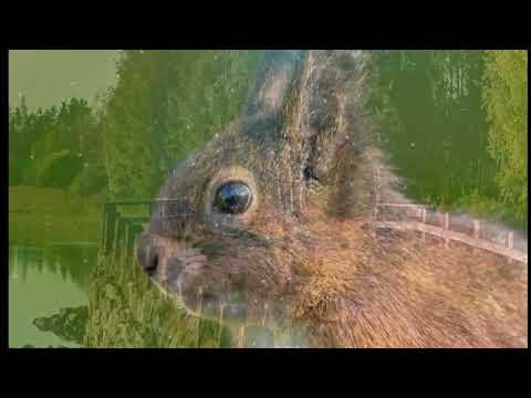 Opwekking 333 U bent El Elohim