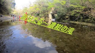 騎虎のモトブログ６日目「NInja400で海ほたる～濃紺の滝」