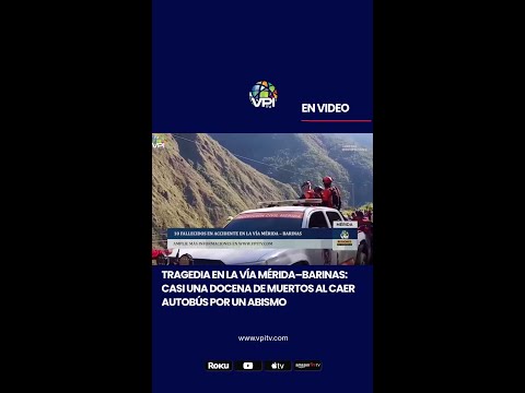 Tragedia en la vía Mérida–Barinas: casi una docena de muertos al caer autobús por un abismo