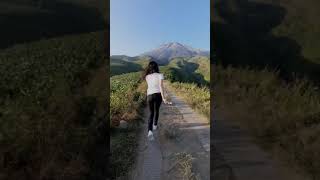 Download lagu Sobat Halu #81| Mentahan ambil aja buat prank temen #Shorts #Cewekcantik #SobatHalu mp3