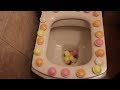 Will It Flush Flying Saucers Sweets