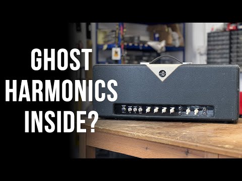 I've NEVER Seen THIS Before! | HALLOWEEN SPECIAL