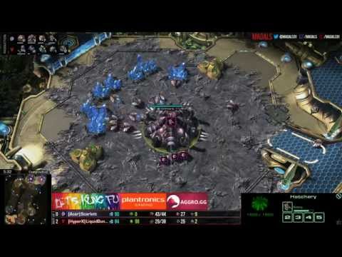 The Foreign Hope   Bunny v Scarlett TvZ G3