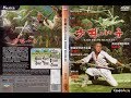 Shaolin Temple 2