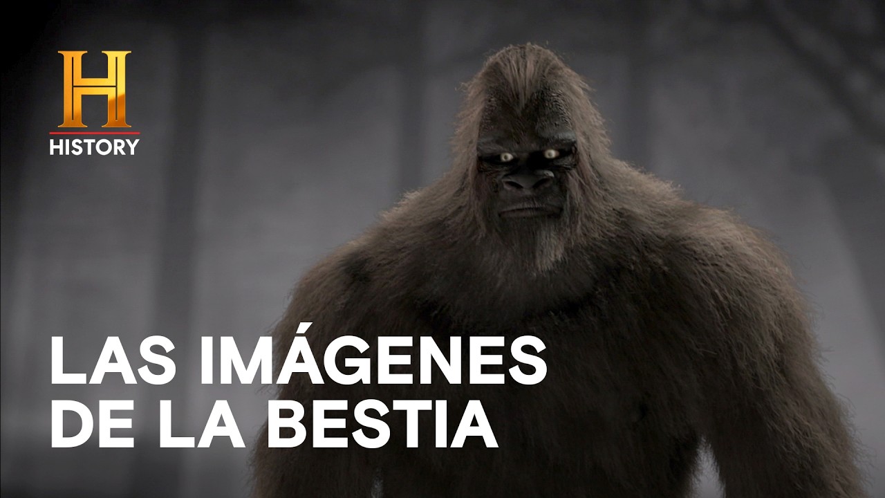 LAS IMÁGENES DE LA BESTIA MONTAÑERA - Monstruos Legendarios